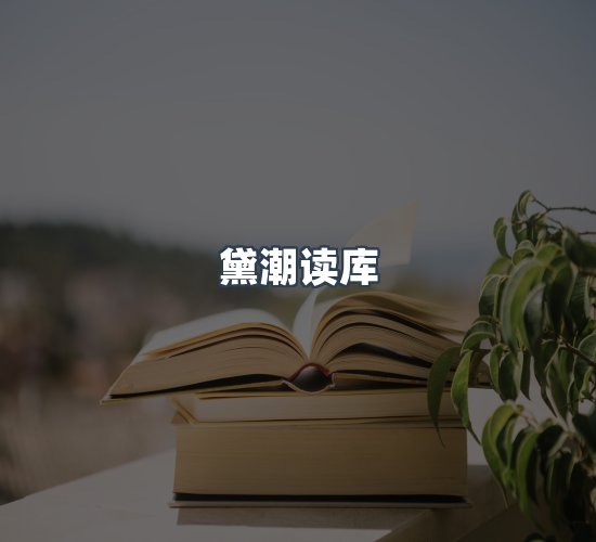 关于黛潮读库